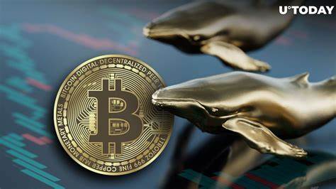  Bitcoin selling at $95K is ‘profit-taking pressure test’ but BTC whales are still buying 