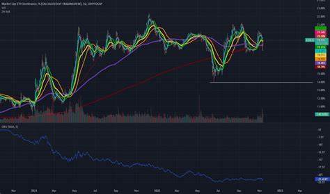 Ethereum’s Dominance Dips: Is ETH Set for a Rebound or a Decline