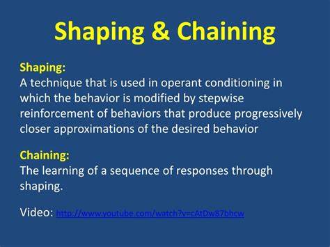 Teaching Methods: Chaining, Shaping, Chunking [pdf]