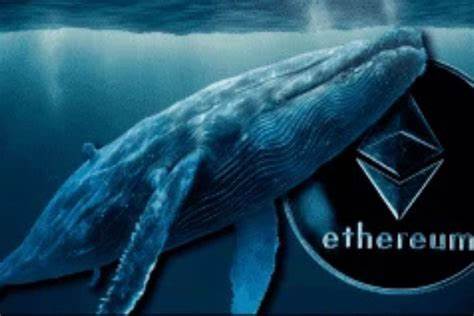 Ethereum Surges Past $1800 as Whale Accumulates ETH, Analyzing Whale Activity