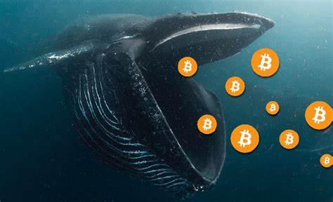 'Whales' Drive Bitcoin Higher; Retail Sales Surge, Wages Rise - Newsweek