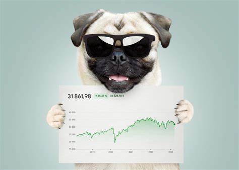 Love Cryptocurrency? This Growth Stock Is a No-Brainer in 2024 - The Motley Fool