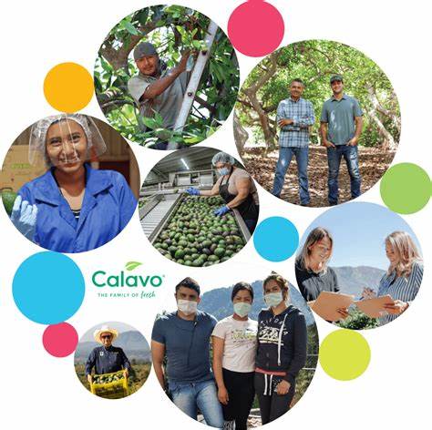 Calavo Growers attracts takeover interest from unnamed party