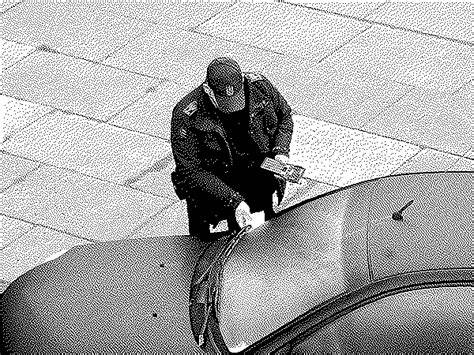 I hereby pardon all parking enforcement officers