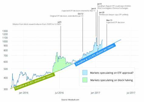 The bitcoin ETF market’s single point of failure - Financial Times
