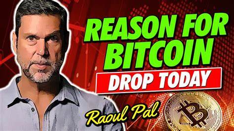 Reason Not to Buy Bitcoin Revealed by Raoul Pal to Michael Saylor - U.Today