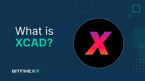 Was ist das XCAD-Netzwerk (XCAD)? - Bitfinex-Blog - Bitfinex
