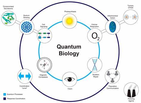 Physical Principles of Quantum Biology