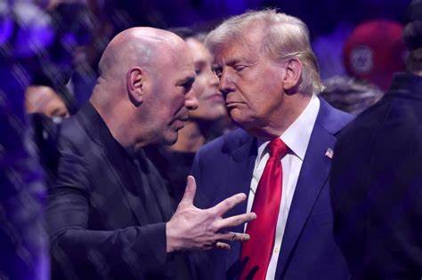 UFC-Chef Dana White wird Berater bei Blockchain-Projekt VeChain