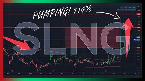 Why Stabilis Solutions (SLNG) Is Falling This Week