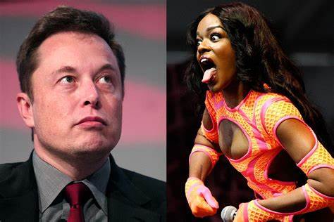 Taylor Swift encouraged to SUE Elon Musk for 'sexual harassment' by rapper Azealia Banks: 'Take his money!'