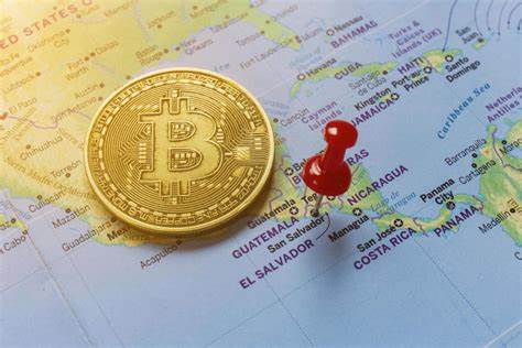 El Salvador Accumulates 7 Bitcoin in the Past Week, Defying IMF Deal