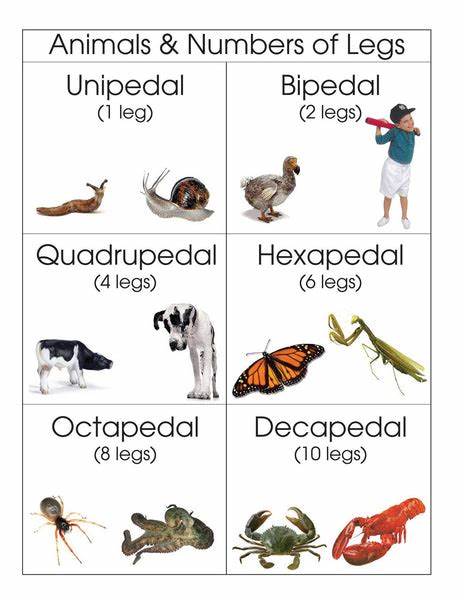 List of Animals by Number of Legs