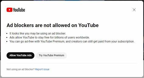 It's 2025, Why Aren't You Using an Ad Blocker?