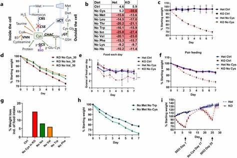 Unravelling cysteine-deficiency-associated rapid weight loss