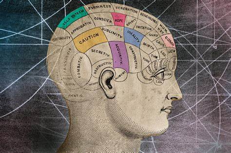 Two Theories of Consciousness Faced Off. The Ref Took a Beating