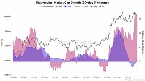 Stablecoins on The Rise: Could They Fuel a Sustained Crypto Rally?