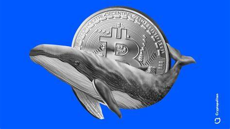 Bitcoin Whales Accumulate as Retail Investors Retreat: A Sign of Impending Rally?