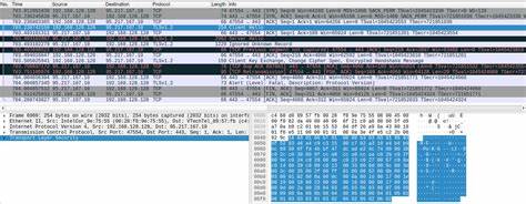 tcploop TCP client and server for bug hunting