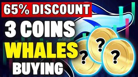 3 Altcoins Whales Are Snatching up Right Now for Potential Gains - CCN.com