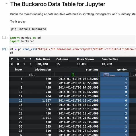 Buckaroo – The data table UI for Notebooks