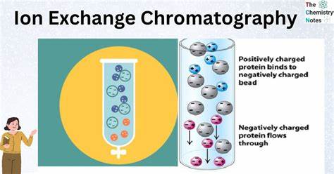 Openiex: Open-source ion exchange chromatography mechanistic model