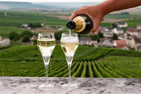 Drinking champagne could reduce risk of sudden cardiac arrest, study suggests