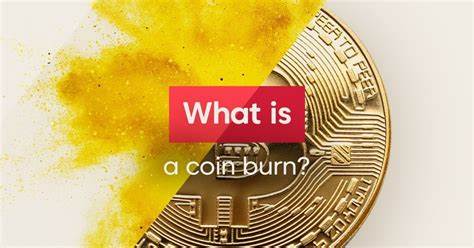 Erklärt: Was ist „Coin Burning“ im Kryptowährungsuniversum? - Die Economic Times
