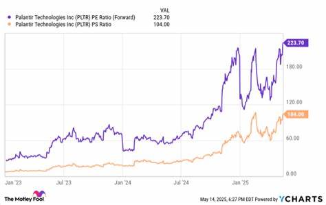 Palantir Technologies Stock Recently Tumbled. Here's Why There Could Be More Pain in Store