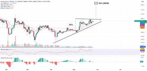 Binance Coin Price Prediction: Traders Losing Patience But Whales May Be Setting a Trap