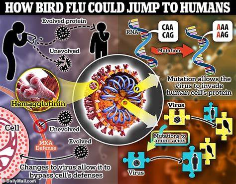 2016 bird flu variant was one mutation away from binding to human receptors