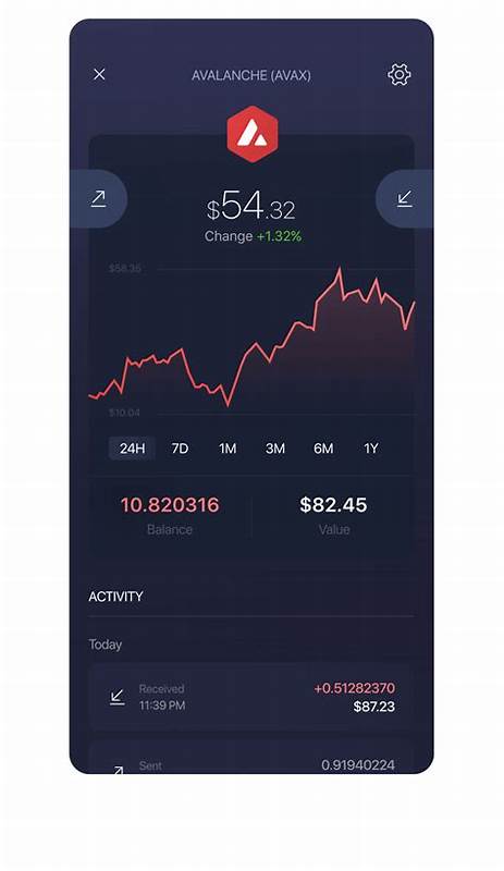 Top Avalanche (AVAX) Wallets im Jahr 2024 – CoinGecko Buzz
