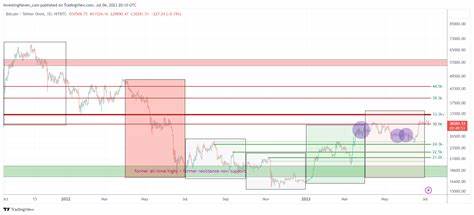 Crypto Investing Strategies Should Focus On Timing The ‘Golden Weeks’ - Investing Haven