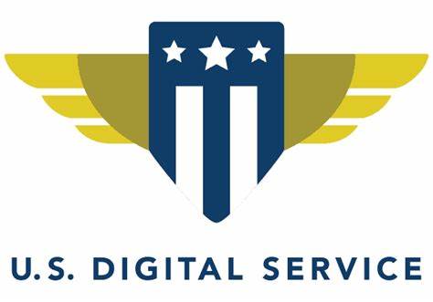 United States Digital Service Origins