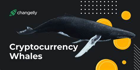 Crypto Whales Alert: 16 New Bitcoin (BTC) Addresses in a Single Day - BeInCrypto