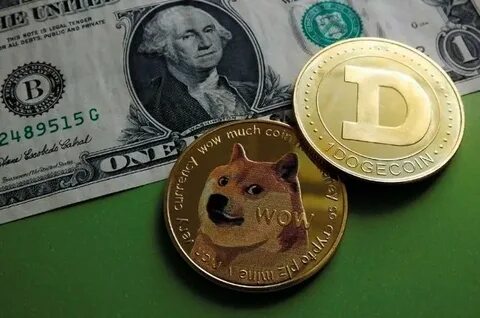 Is Dogecoin A Good Investment? Expert Suggests Avoiding Controversial Cryptocurrency Market