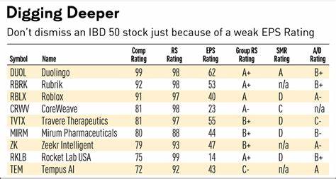 Stock Market Winners Look A Lot Alike: How To Use IBD's EPS Rating To Find Them
