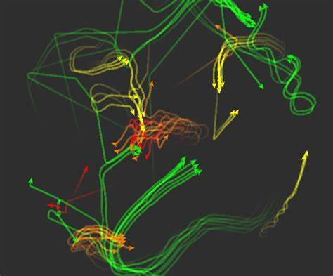 Show HN: Genetic Boids Web Simulation