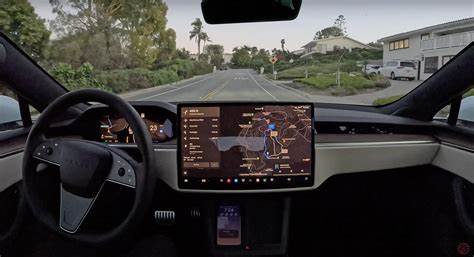Missing the Road for the Trees Safety Anomalies in Tesla's FSD System