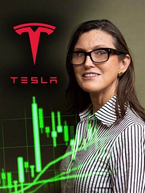 Cathie Wood: Yes Tesla Brand Damage Has Happened
