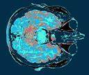 What If We Had Bigger Brains? Imagining Minds Beyond Ours