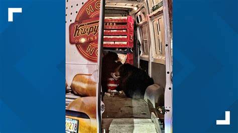 Short Report: Bears bite into Krispy Kreme after another weak earnings report