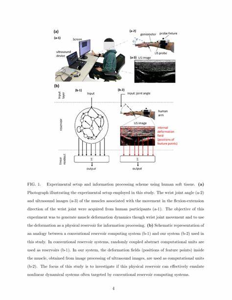 Information Processing via Human Soft Tisssue
