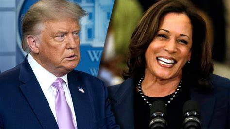 Donald Trump blames Kamala Harris rhetoric for assassination attempt