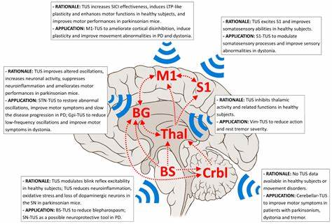 Low-intensity transcranial focused ultrasound amygdala neuromodulation