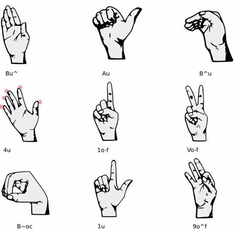 The Toki Pona Language