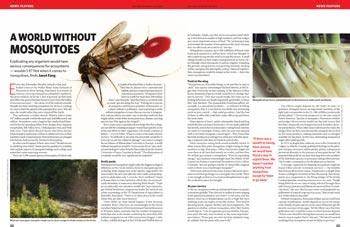 Ecology: A World Without Mosquitoes