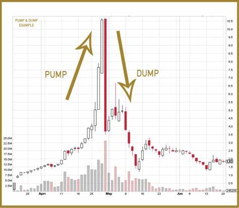 Netherlands regulator cautions of crypto pump-and-dump before MiCA September 29, 2024 - Bitcoinleef
