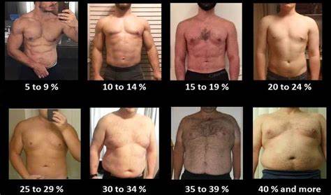 ChatGPT can accurately estimate Body Fat Percentage from photos