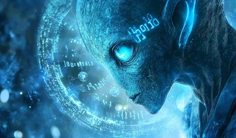Michaël van de Poppe Predicts Quick Bounce and Rally for Altcoins, Says Larger Investors Loading Up on Bitcoin - The Daily Hodl